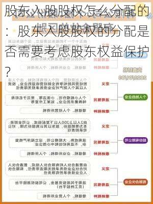 股东入股股权怎么分配的：股东入股股权的分配是否需要考虑股东权益保护？