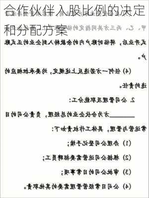 合作伙伴入股比例的决定和分配方案