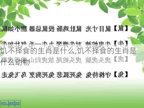 饥不择食的生肖是什么,饥不择食的生肖是什么动物