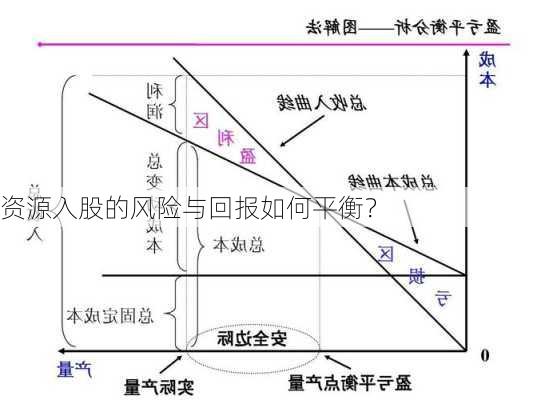 资源入股的风险与回报如何平衡？