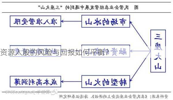 资源入股的风险与回报如何平衡？