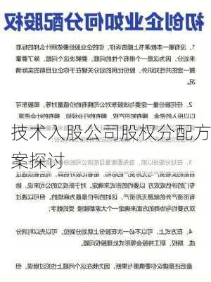 技术入股公司股权分配方案探讨