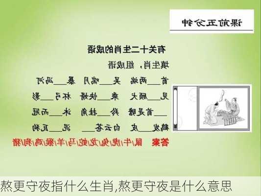 熬更守夜指什么生肖,熬更守夜是什么意思