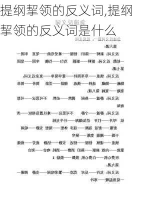 提纲挈领的反义词,提纲挈领的反义词是什么