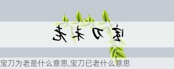 宝刀为老是什么意思,宝刀已老什么意思