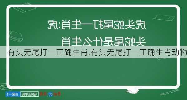 有头无尾打一正确生肖,有头无尾打一正确生肖动物