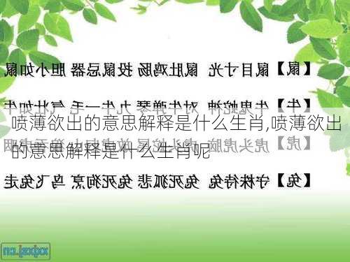 喷薄欲出的意思解释是什么生肖,喷薄欲出的意思解释是什么生肖呢