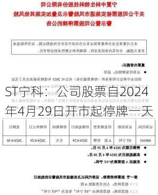 ST宁科：公司股票自2024年4月29日开市起停牌一天