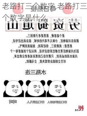 老路打三个数字,老路打三个数字是什么