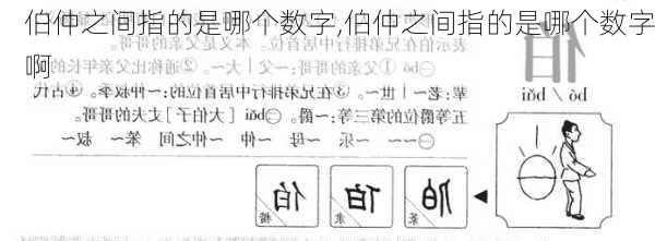 伯仲之间指的是哪个数字,伯仲之间指的是哪个数字啊