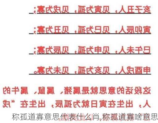 称孤道寡意思代表什么肖,称孤道寡啥意思