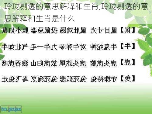 玲珑剔透的意思解释和生肖,玲珑剔透的意思解释和生肖是什么