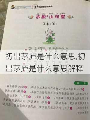 初出茅庐是什么意思,初出茅庐是什么意思解释