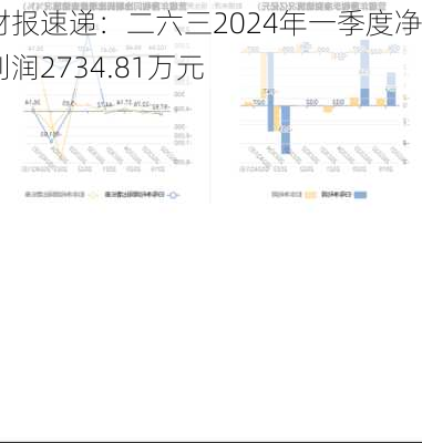 财报速递：二六三2024年一季度净利润2734.81万元