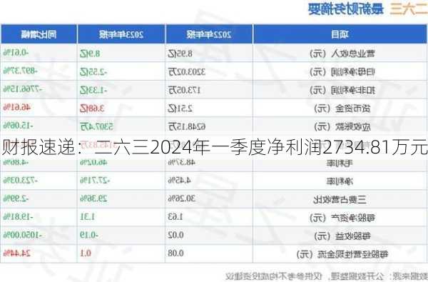 财报速递：二六三2024年一季度净利润2734.81万元