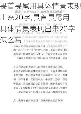 畏首畏尾用具体情景表现出来20字,畏首畏尾用具体情景表现出来20字怎么写