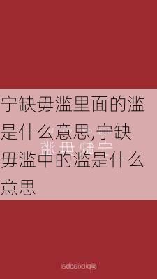 宁缺毋滥里面的滥是什么意思,宁缺毋滥中的滥是什么意思