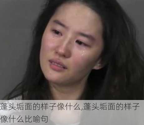 蓬头垢面的样子像什么,蓬头垢面的样子像什么比喻句