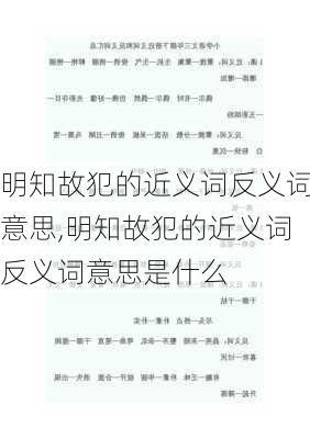 明知故犯的近义词反义词意思,明知故犯的近义词反义词意思是什么