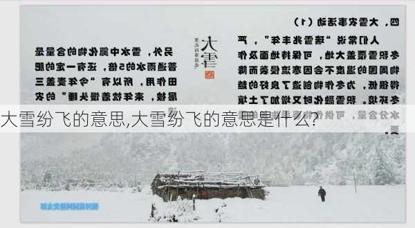 大雪纷飞的意思,大雪纷飞的意思是什么?