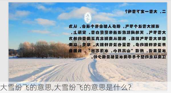 大雪纷飞的意思,大雪纷飞的意思是什么?