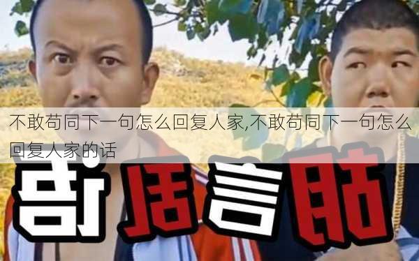 不敢苟同下一句怎么回复人家,不敢苟同下一句怎么回复人家的话