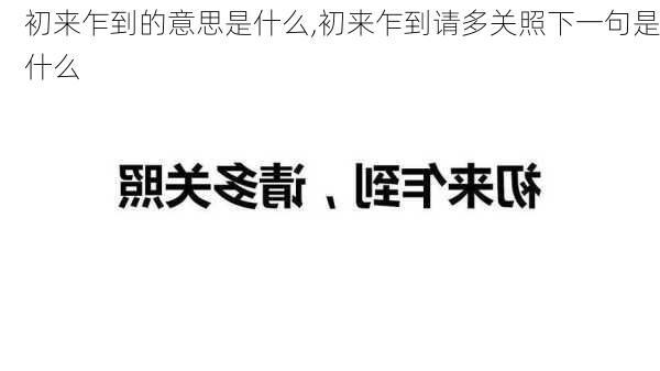 初来乍到的意思是什么,初来乍到请多关照下一句是什么