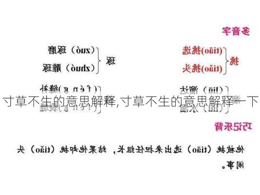 寸草不生的意思解释,寸草不生的意思解释一下