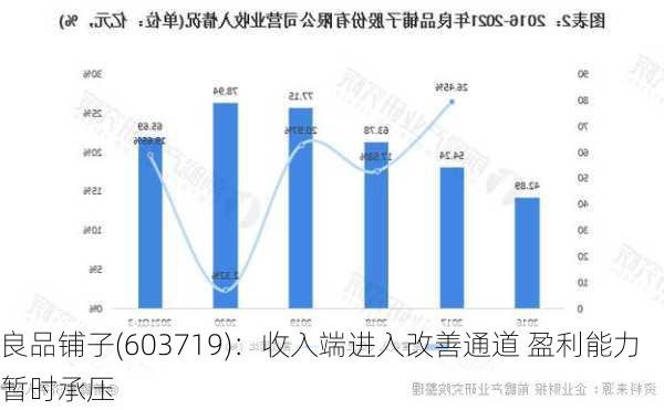 良品铺子(603719)：收入端进入改善通道 盈利能力暂时承压