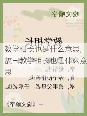 教学相长也是什么意思,故曰教学相长也是什么意思