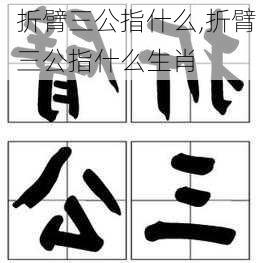 折臂三公指什么,折臂三公指什么生肖