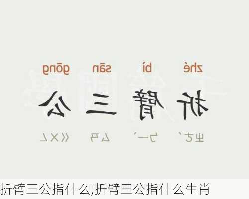 折臂三公指什么,折臂三公指什么生肖