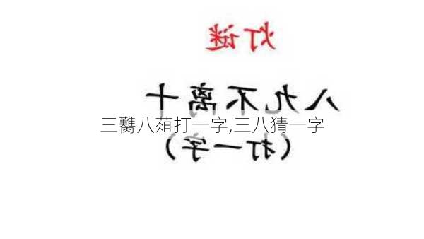 三臡八葅打一字,三八猜一字