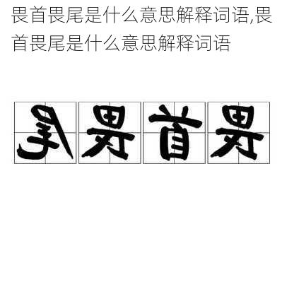 畏首畏尾是什么意思解释词语,畏首畏尾是什么意思解释词语