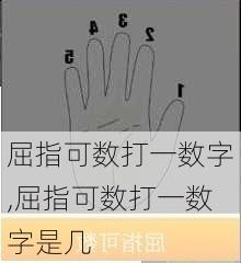 屈指可数打一数字,屈指可数打一数字是几