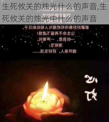 生死攸关的烛光什么的声音,生死攸关的烛光中什么的声音