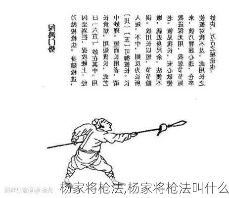 杨家将枪法,杨家将枪法叫什么