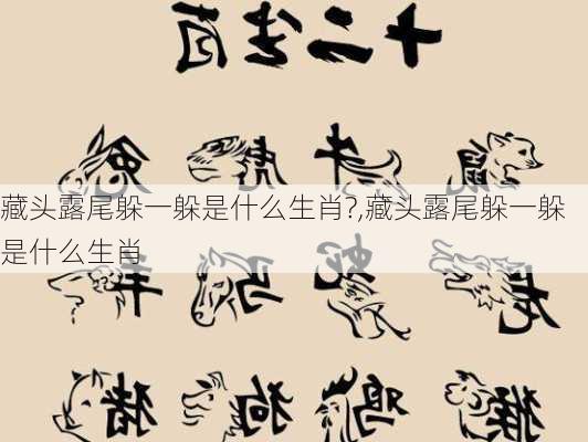 藏头露尾躲一躲是什么生肖?,藏头露尾躲一躲是什么生肖