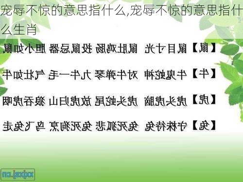 宠辱不惊的意思指什么,宠辱不惊的意思指什么生肖