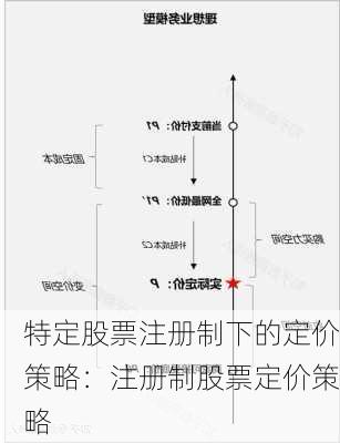 特定股票注册制下的定价策略：注册制股票定价策略