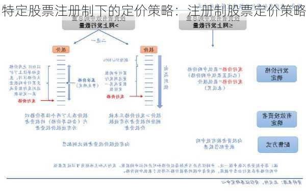 特定股票注册制下的定价策略：注册制股票定价策略