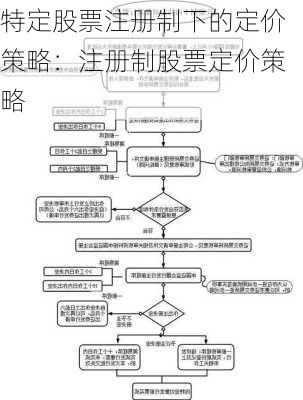 特定股票注册制下的定价策略：注册制股票定价策略