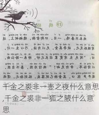 千金之裘非一壶之夜什么意思,千金之裘非一狐之腋什么意思