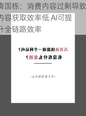 隋国栋：消费内容过剩导致内容获取效率低 AI可提升全链路效率