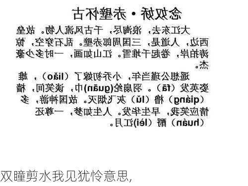 双瞳剪水我见犹怜意思,