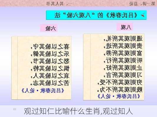 观过知仁比喻什么生肖,观过知人