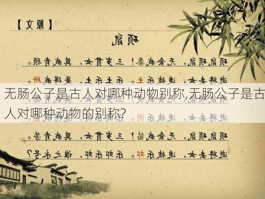 无肠公子是古人对哪种动物别称,无肠公子是古人对哪种动物的别称?