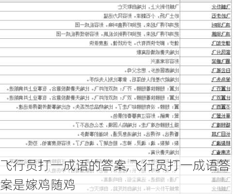 飞行员打一成语的答案,飞行员打一成语答案是嫁鸡随鸡