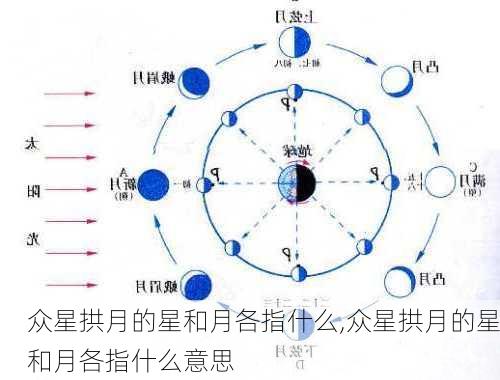 众星拱月的星和月各指什么,众星拱月的星和月各指什么意思