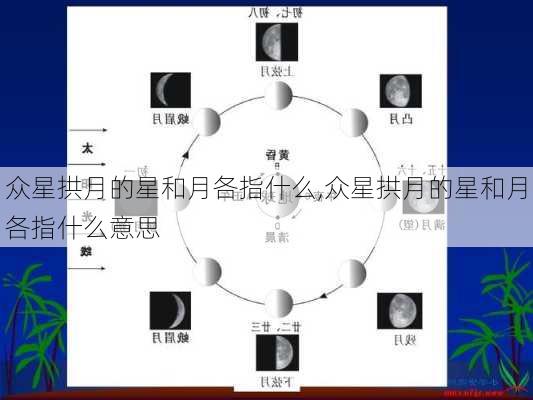 众星拱月的星和月各指什么,众星拱月的星和月各指什么意思